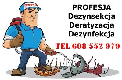 profesja-deratyzacja-dezynfekcja-dezynsekcja-ozonowanie-125500-warszawa.jpg