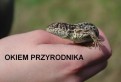 Ekspertyzy przyrodnicze - budowa domu, remonty elewacji, różne inwestycje