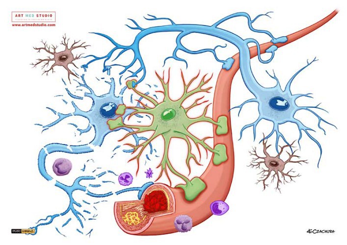 ilustracje-medyczne-anatomiczne-naukowe-ryciny-medyczne-132041-sprzedam.jpg