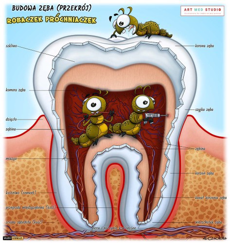 ilustracje-medyczne-anatomiczne-naukowe-ryciny-medyczne-132041-zdjecia.jpg