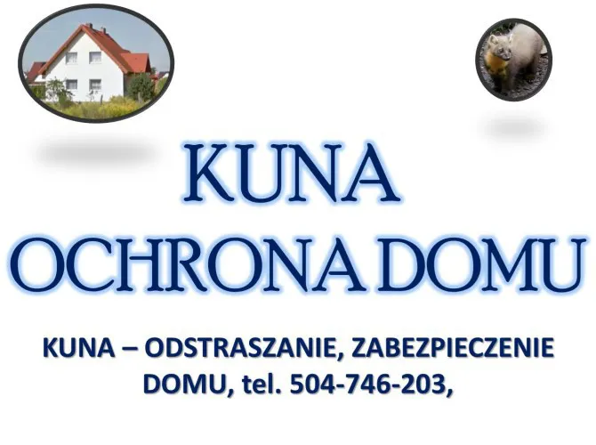 pastuch-na-kuny-cena-tel-504-746-203-kuna-odlawianie-odstraszanie-137699-pozostale.jpg