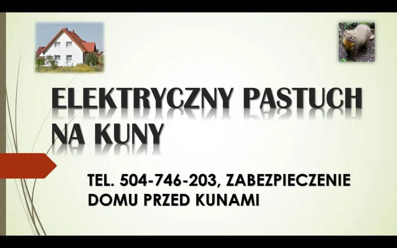 pastuch-na-kuny-cena-tel-504-746-203-kuna-odlawianie-odstraszanie-137699-sprzedam.jpg