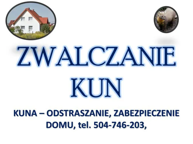 pastuch-na-kuny-cena-tel-504-746-203-kuna-odlawianie-odstraszanie-137699-warszawa-do-sprzedania.jpg