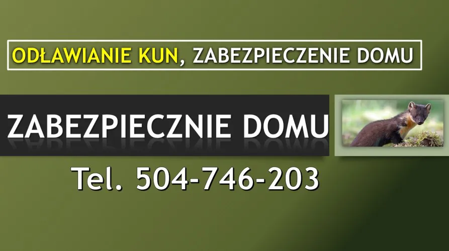 pastuch-na-kuny-cena-tel-504-746-203-kuna-odlawianie-odstraszanie-137699-warszawa-na-sprzedaz.jpg