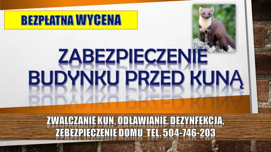 pastuch-na-kuny-cena-tel-504-746-203-kuna-odlawianie-odstraszanie-137699-warszawa.jpg