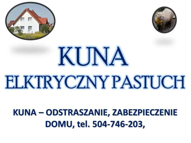 pastuch-na-kuny-cena-tel-504-746-203-kuna-odlawianie-odstraszanie-137699-zdjecia.jpg