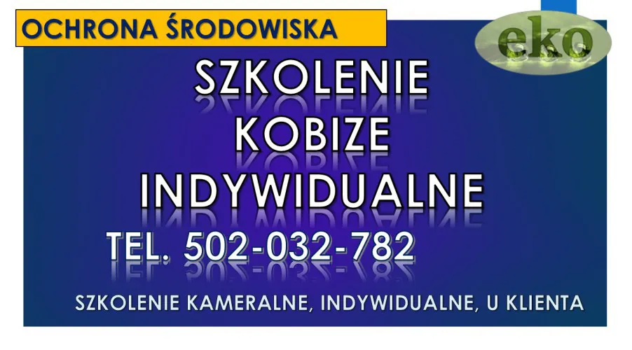 7_szkoleniez_raportu_kobize_w_firmie_siedzibie.webp