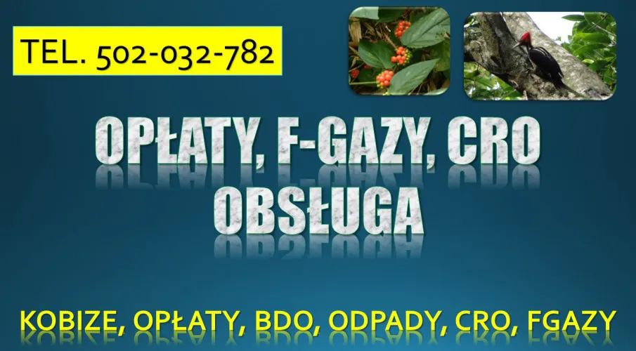 5_obsluga_cro_fgazy_sprawozdanie_wpis.webp