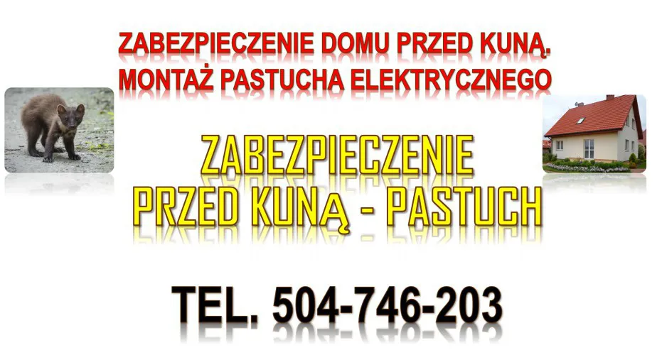 2_jaka_cena_za_pastuch_elektryczny_na_kuny.webp