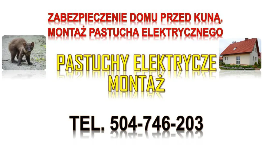 4_ochrona_przed_kuna_pastuch_elektryczny.webp