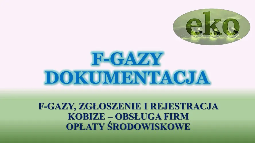 7_czynnik_chlodniczy_gazy_cro_i_bds_raport_sprawozdanie_cena1.webp