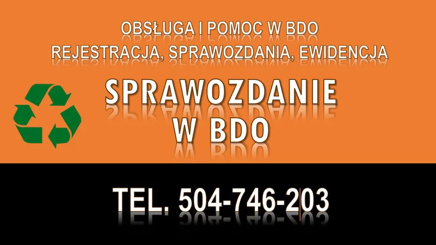 2_ile_kosztuje_raport_do_bdo.webp