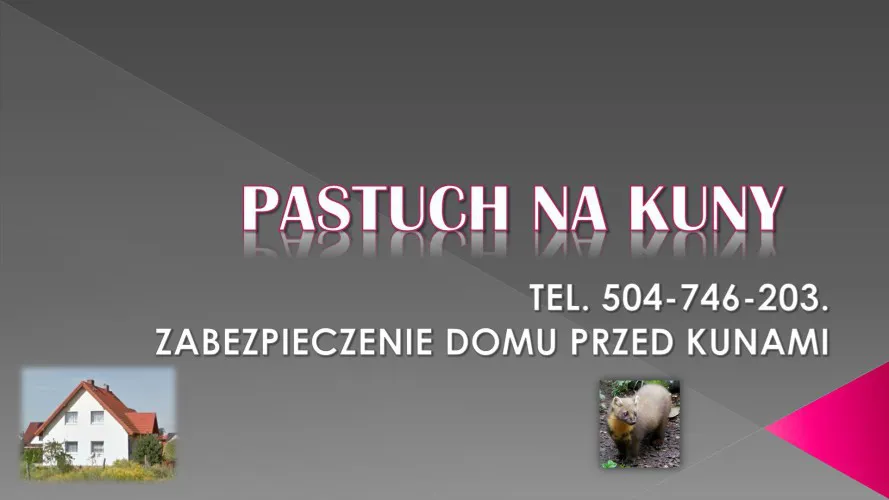 2_pastuch_na_kuny_cena_montaz.webp