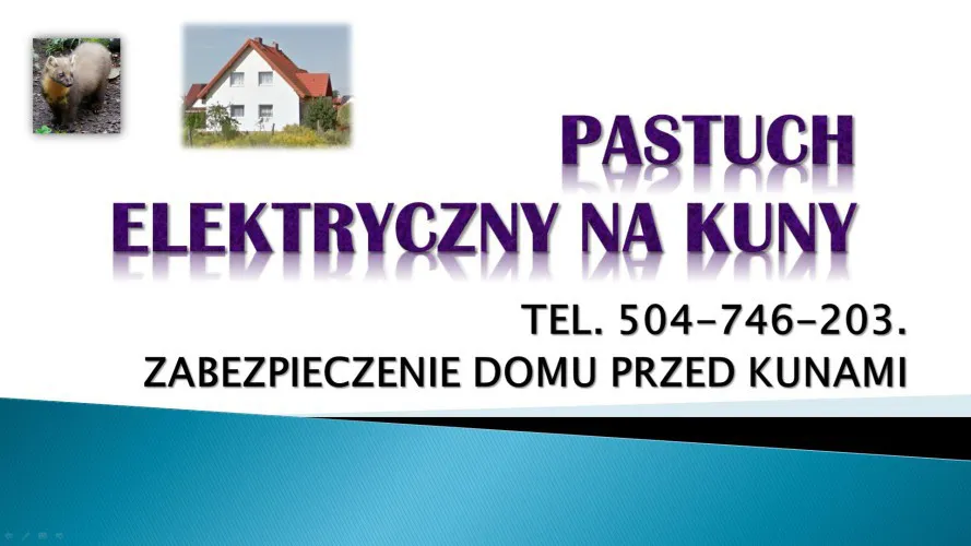 3_montaz_elektrycznego_pastucha_na_kuny.webp