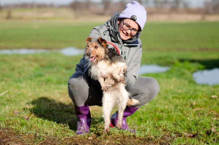 joko-mikrosunia-w-typie-teriera-szuka-domu-142417-warszawa.webp