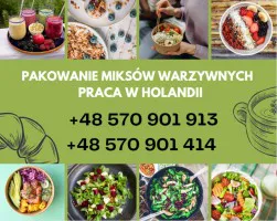 Pakowanie Miksów Warzywnych - Praca w Holandii