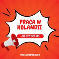 PRODUKCJA /kwiaty, pralnia-praca Holandia - Nieuw-Vennep