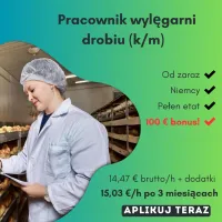 Pracownik fizyczny wylęgarnia drobiu - Niemcy