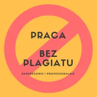 Zawodowe Pisanie i Redagowanie Prac