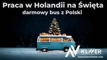 Zarób przed świętami - krótki wyjazd do Holandii! Zarób przed świętami - krótki wyjazd do Holandii!