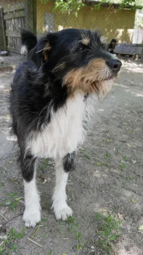 kacper-sierotka-po-zmarlej-opiekunce-szuka-domu-147864-warszawa.webp
