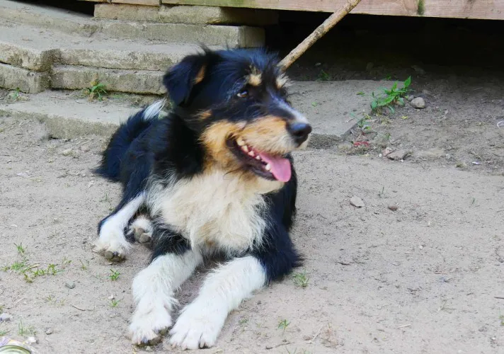 kacper-sierotka-po-zmarlej-opiekunce-szuka-domu-147864-zdjecia.webp