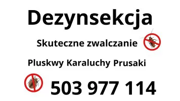 Dezynsekcja Dezynsekcja