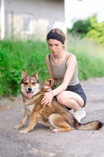 rambus-lagodny-nieduzy-psiak-szuka-domu-148355-sprzedam.webp
