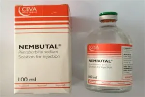 NEMBUTAL PENTOBARBITAL SODOWY NA SPRZEDAŻ BEZ RECEPTY NEMBUTAL PENTOBARBITAL SODOWY NA SPRZEDAŻ BEZ RECEPTY