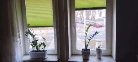 Kawalerka 20m2, Saska Kępa, Miedzynarodowa 40,Warszawa Kawalerka 20m2, Saska Kępa, Miedzynarodowa 40,Warszawa