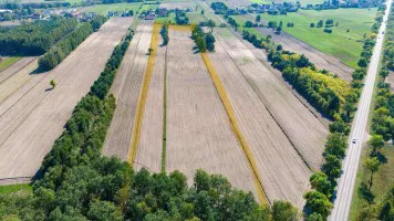 Sprzedam atrakcyjną działkę Mazowieckie okolice Ostrołęki Sprzedam atrakcyjną działkę Mazowieckie okolice Ostrołęki