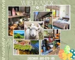 WIELKANNOC Z GÓALSKĄ NUTĄ WIELKANNOC Z GÓALSKĄ NUTĄ