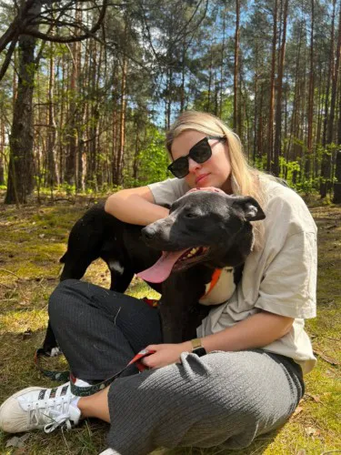 kali-wychowany-domowy-ttb-mix-szuka-domu-149792-warszawa-na-sprzedaz.webp