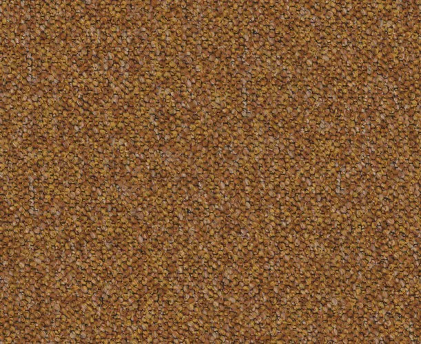 Adventure_515.webp