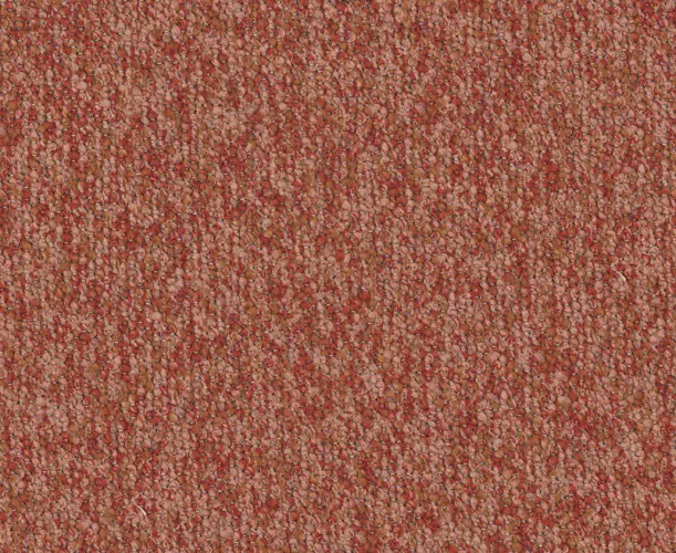 Adventure_5210.webp