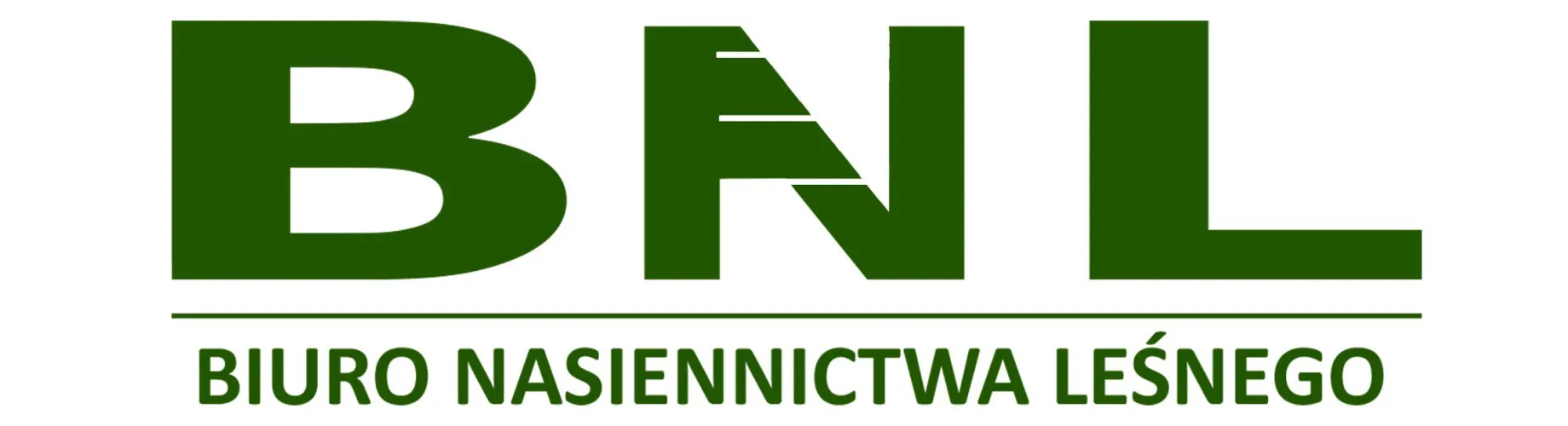 stażysta archiwista branża leśna lesnictwo