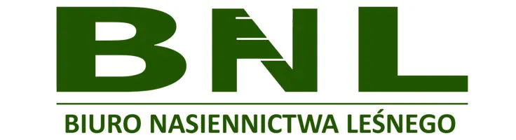stażysta archiwista branża leśna lesnictwo stażysta archiwista branża leśna lesnictwo